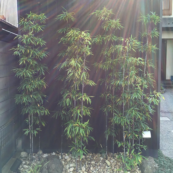 フルオーダーの空間創り